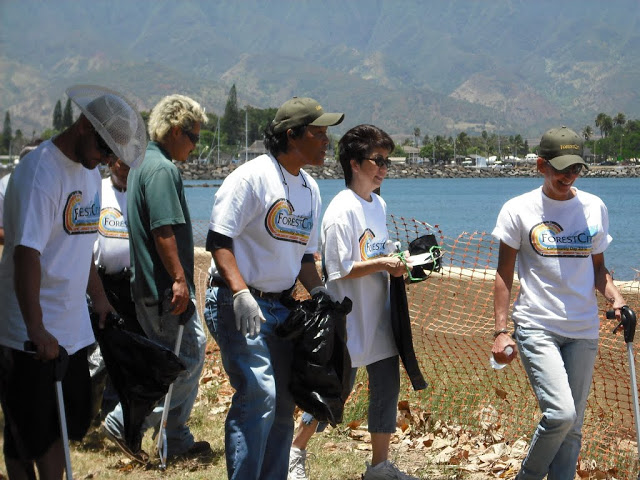 Beach Clean Ups