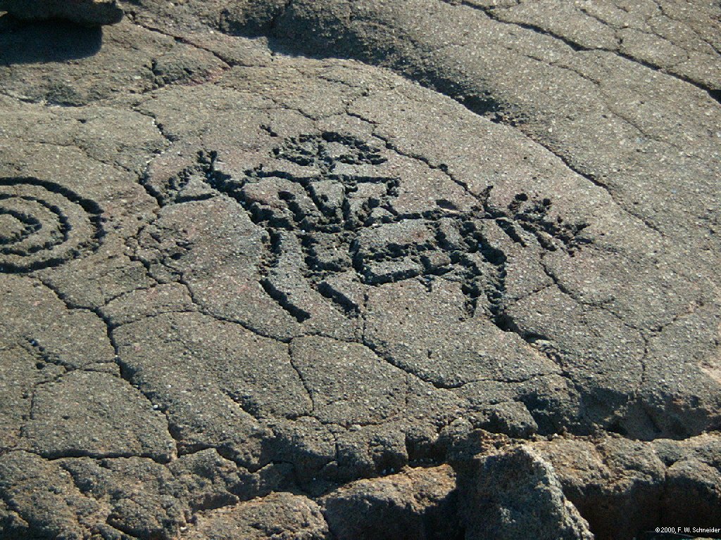 Waikoloa Petroglyph