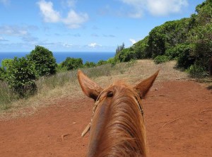 Horseback riding in Maui photo by Drongowski and flickr.com