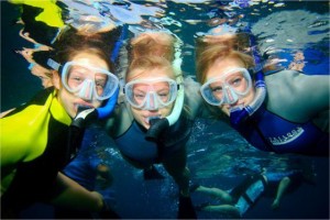 Snorkeling in Maui photo by annwie and flickr.com