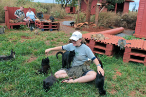 Lanai Animal Rescue Center