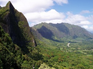 pali-lookout