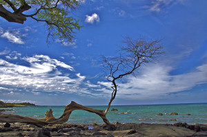 Anaeho'omalu Bay