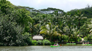 Kamokila Hawaiian Village