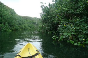 Kayak the Wailua River