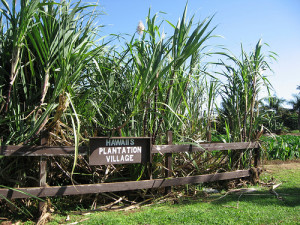 Hawaii's Plantation Village