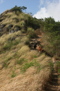 Lanikai Pillboxes Hike