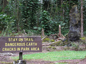 Lava Tree State Monument