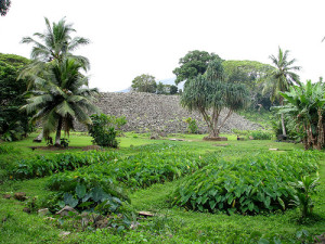 Ulupo Heiau