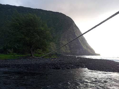 Hiking The The Muliwai Trail